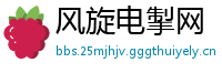 风旋电掣网